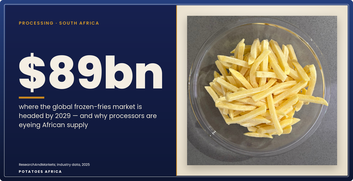 Frozen french fries moving along a processing line