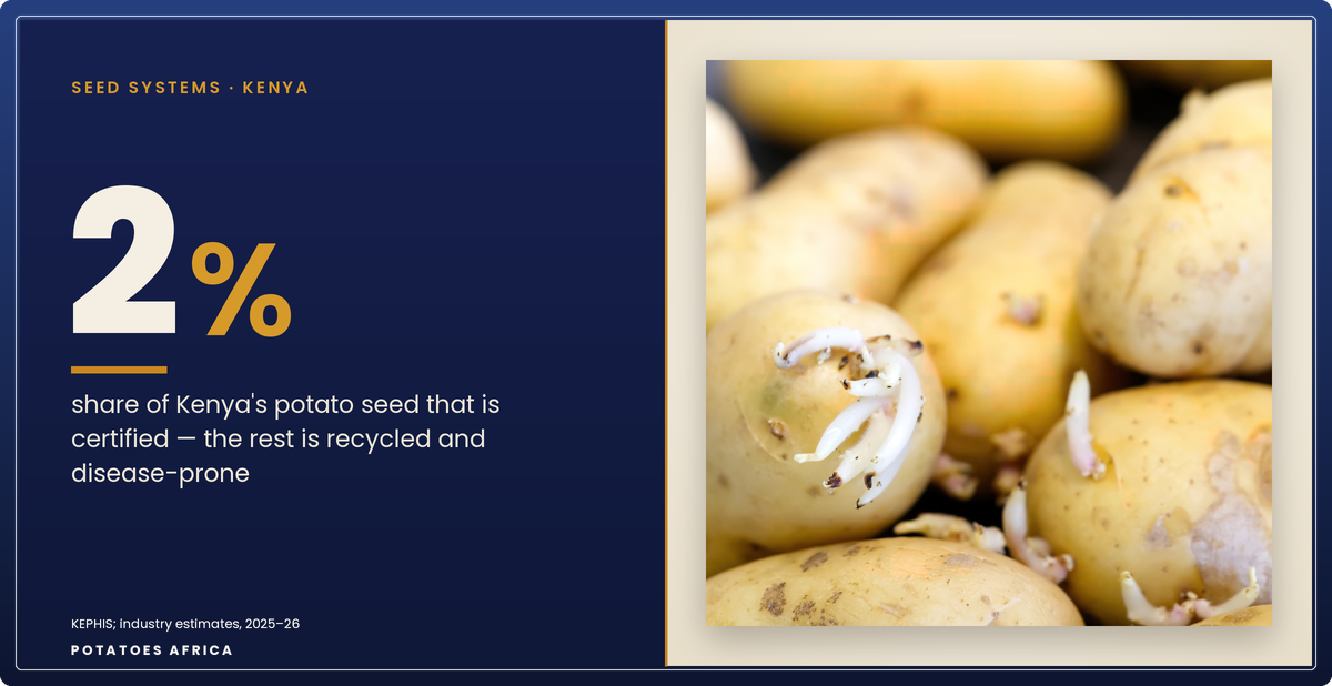Disease-free potato mini-tubers raised in a controlled-environment seed system