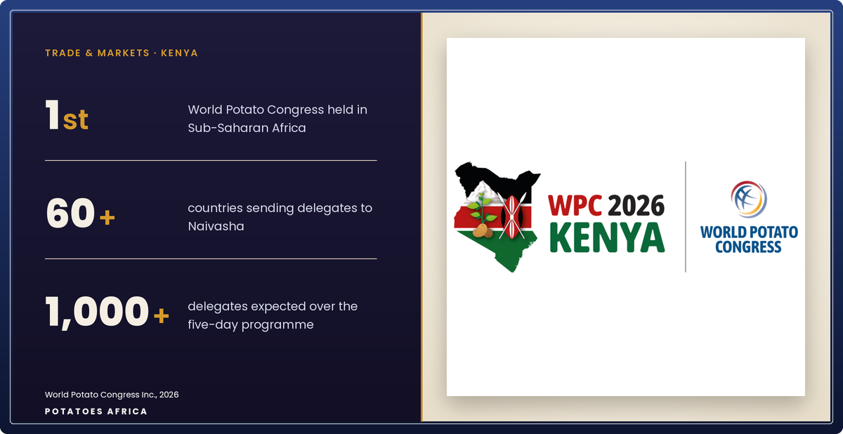 Potato farmland in Kenya's Rift Valley, the region hosting the 2026 World Potato Congress.