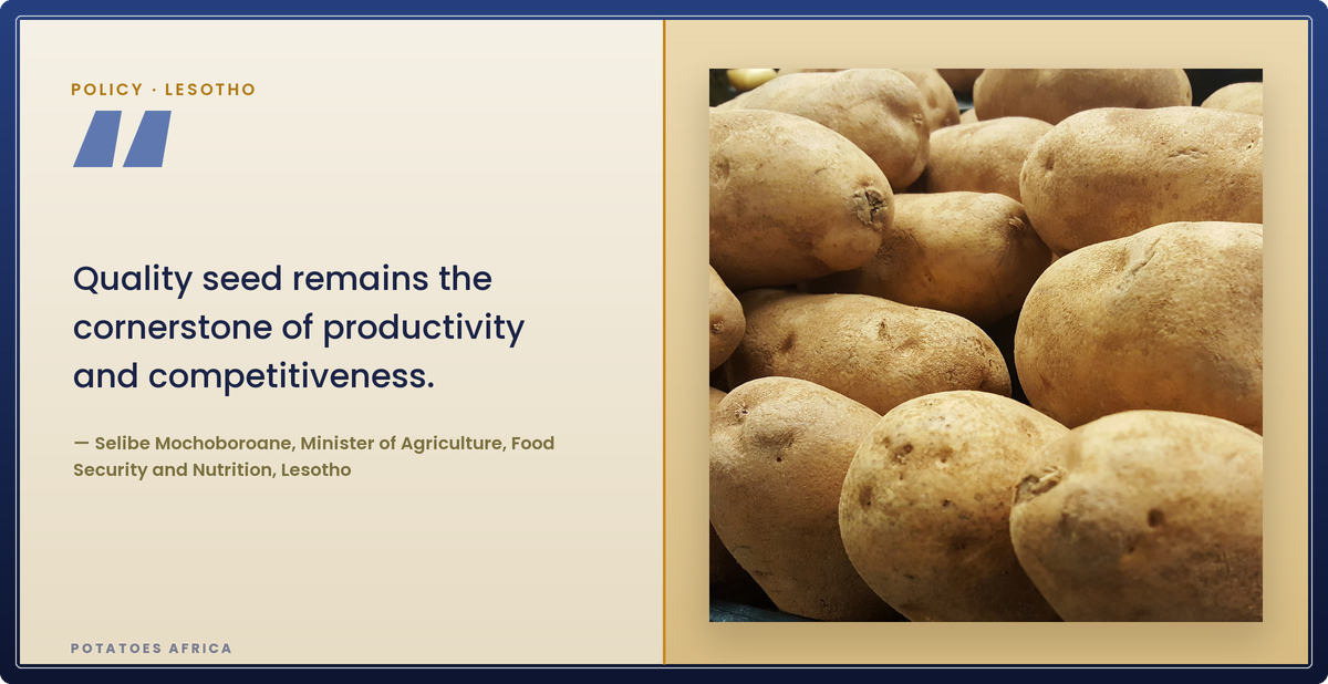 Editorial quote card featuring Selibe Mochoboroane, Lesotho's Minister of Agriculture, on quality seed and potato competitiveness.