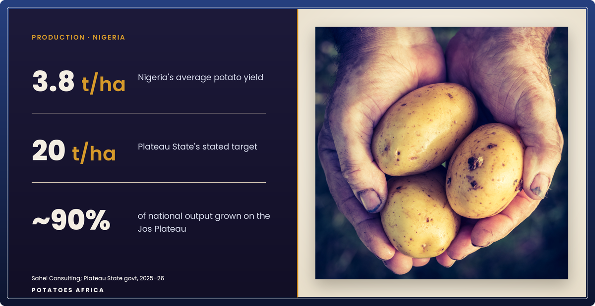 Smallholder potato plots on the Jos Plateau in Nigeria